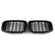 Ніздрі Чорний глянець ( Подвійні M-Look ) Китай на BMW X3 G01 2018-2022 року