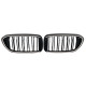 Ніздрі Чорний глянець LED ( Iconic Glow ) 2bar на BMW 5 Series G30 / G31 2017-2020 року