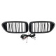 Ніздрі Чорний глянець LED ( Iconic Glow ) 2bar на BMW 5 Series G30 / G31 2017-2020 року