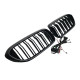 Ніздрі Чорний глянець LED ( Iconic Glow ) 2bar на BMW 5 Series G30 / G31 2017-2020 року