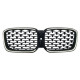 Ніздрі Чорний глянець LED ( Iconic Glow ) Diamond на BMW X3 G01 2022-2024 року