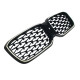 Ніздрі Чорний глянець LED ( Iconic Glow ) Diamond на BMW X3 G01 2022-2024 року