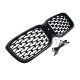 Ніздрі Чорний глянець LED ( Iconic Glow ) Diamond на BMW X3 G01 2022-2024 року