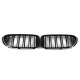 Ніздрі Чорний глянець ( Подвійні M-Look ) Китай на BMW 5 Series G30 / G31 2017-2020 року