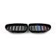 Ніздрі  M-color  ( Подвійні M-Look ) на BMW 5 Series F10 / F11 2010-2017 року
