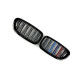 Ніздрі  M-color  ( Подвійні M-Look ) на BMW 5 Series F10 / F11 2010-2017 року
