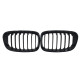 Ніздрі Gloss Black ( 1 bar  ) на BMW 1 Series F20 / F21 2011-2015 року