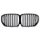 Ніздрі Чорний глянець LED ( Iconic Glow ) 2bar на BMW X5 G05 2018-2022 року