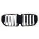 Ніздрі Чорний глянець LED ( Iconic Glow ) 2bar на BMW X5 G05 2023-2025 року