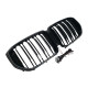 Ніздрі Чорний глянець LED ( Iconic Glow ) 2bar на BMW X5 G05 2023-2025 року