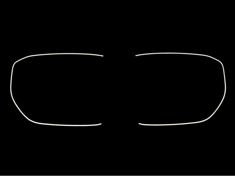 Ніздрі Чорний глянець LED ( Iconic Glow ) 2bar на BMW X5 G05 2023-2025 року