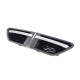 Жабра   на Land Rover Range Rover Sport L320 2010-2013 року