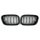 Ніздрі Чорний глянець ( Подвійні M-Look ) на BMW X5 E53 1999-2006 року