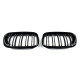Ніздрі Чорний глянець ( Подвійні M-Look ) на BMW X5 E53 1999-2006 року