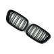 Ніздрі Чорний глянець ( Подвійні M-Look ) на BMW X5 E53 1999-2006 року