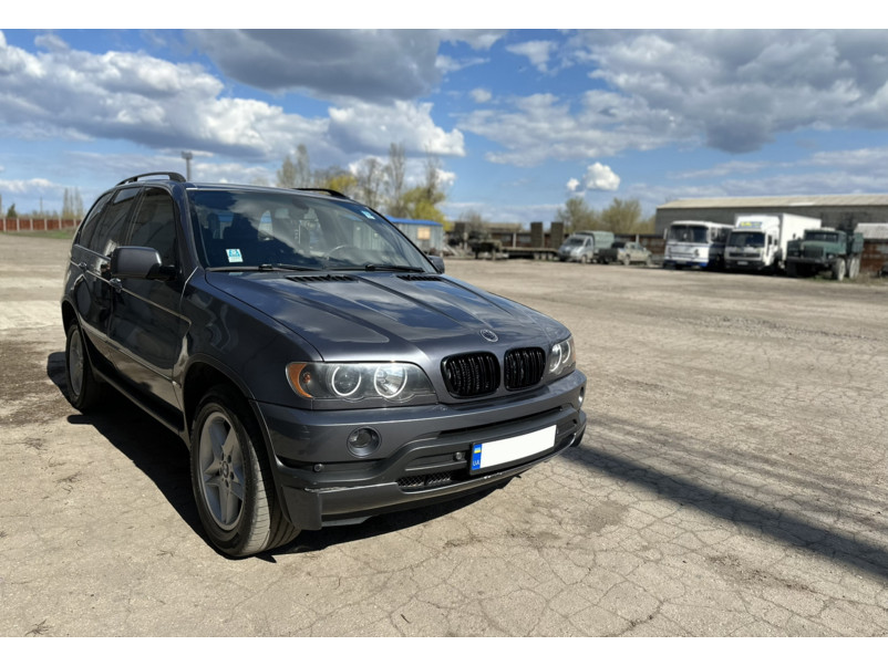 Ніздрі Чорний глянець ( Подвійні M-Look ) на BMW X5 E53 1999-2006 року