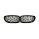 Ніздрі  Diamond Silver  на BMW 5 Series F10 / F11 2010-2017 року