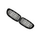 Ніздрі  Diamond Silver  на BMW 5 Series F10 / F11 2010-2017 року