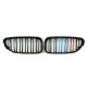 Ніздрі M-color ( Подвійні M-Look ) на BMW 6 Series F06 / F12 / F13 2012-2017 року