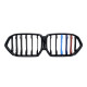 Ніздрі M-color ( 1 Bar ) на BMW X6 G06 2019-2022 року