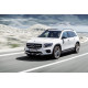 Решітка радіатора  GT Full Black ( Normal ) на Mercedes-Benz GLB-Class X247 2019-2023 року
