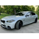 Леза на пороги Чорний глянець ( M-Performance ) на BMW 5 Series F10 / F11 2010-2017 року