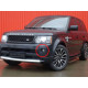 Протитуманна фара  ( Галоген ) на Land Rover Range Rover Sport L320 2010-2013 року