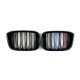 Ніздрі M-color ( Подвійні M-Look ) на BMW X3 G01 2018-2022 року