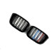 Ніздрі M-color ( Подвійні M-Look ) на BMW X3 G01 2018-2022 року