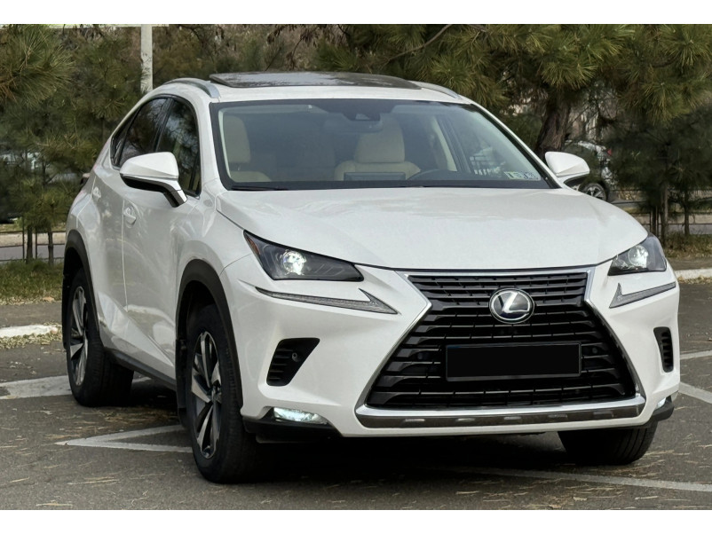 Решітка радіатора Gray ( Normal ) на Lexus NX 2017-2021 року