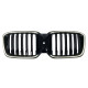 Ніздрі Чорний глянець LED ( Iconic Glow ) 1bar на BMW X3 G01 2022-2024 року