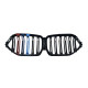 Ніздрі M-color ( Подвійні M-Look ) на BMW X6 G06 2019-2022 року