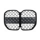 Ніздрі  ( Diamond Silver ) на BMW 4 Series G22 / G23 2020-2024 року