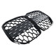 Ніздрі  ( Diamond Silver ) на BMW 4 Series G22 / G23 2020-2024 року