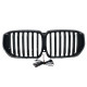 Ніздрі Чорний глянець LED ( Iconic Glow ) 1bar на BMW X5 G05 2023-2025 року