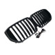 Ніздрі Чорний глянець LED ( Iconic Glow ) 1bar на BMW X5 G05 2023-2025 року