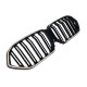 Ніздрі Чорний глянець LED ( Iconic Glow ) 2bar на BMW X6 G06 2019-2022 року