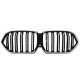 Ніздрі Чорний глянець LED ( Iconic Glow ) 2bar на BMW X6 G06 2023-2026 року