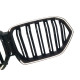 Ніздрі Чорний глянець LED ( Iconic Glow ) 2bar на BMW X6 G06 2023-2026 року
