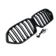 Ніздрі Чорний глянець LED ( Iconic Glow ) 2bar на BMW X6 G06 2023-2026 року