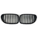 Ніздрі Чорний глянець ( 1 Bar ) V1 на BMW 7 Series F01 / F02 2008-2015 року