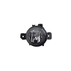 Протитуманна фара  RH ( галоген ) на BMW X5 E70 2007-2010 року
