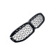 Ніздрі  Diamond Silver  на BMW 1 Series F40 / F41 2019-2023 року