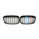 Ніздрі M-color ( Подвійні M-Look ) на BMW 1 Series F20 / F21 2011-2015 року