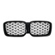 Ніздрі  ( Diamond Silver ) на BMW X3 G01 2022-2024 року