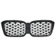 Ніздрі  ( Diamond Silver ) на BMW X3 G01 2022-2024 року