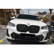 Ніздрі  ( Diamond Silver ) на BMW X3 G01 2022-2024 року