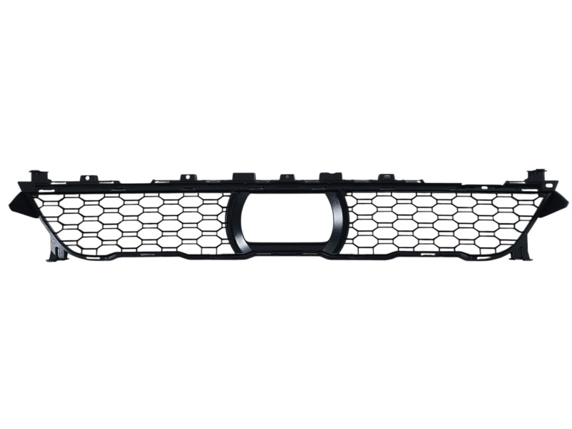 Решітки в бампер   на BMW X7 G07 2018-2022 року