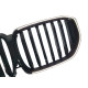 Ніздрі Чорний глянець LED ( Iconic Glow ) 1bar на BMW X5 G05 2018-2022 року