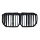 Ніздрі Чорний глянець LED ( Iconic Glow ) 2bar на BMW X7 G07 2018-2022 року